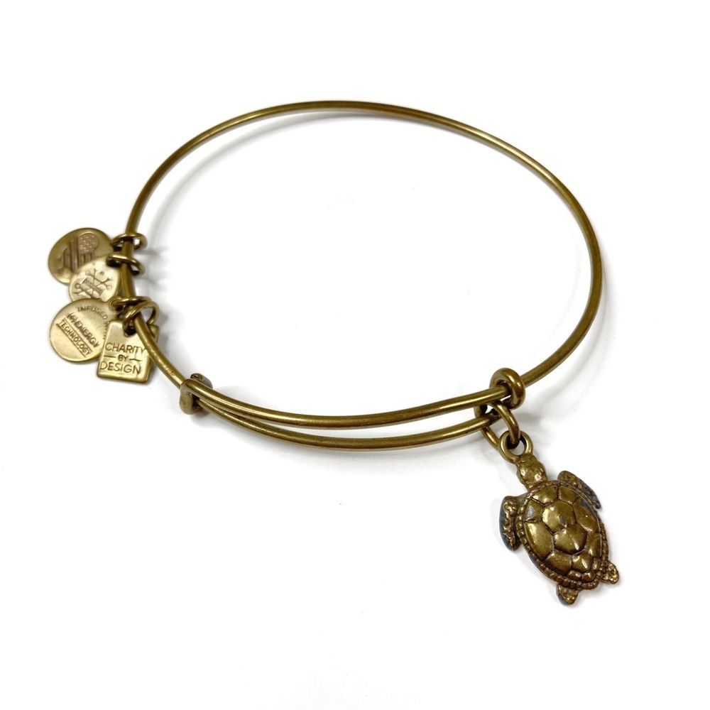 3/$30 Alex and Ani | Gold Charity By Design Turtle Charm Bracelet
